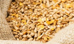 2026六畜饲料行业市场成长示状及投融资阐发