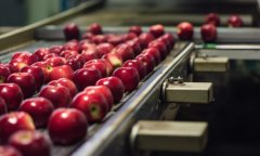 食物加工财产市场阐发及将来趋向预测 